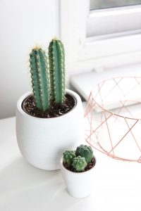 minimal_bronze_stock_photo_03