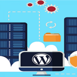 هاست وردپرس چیست؟ مزایای استفاده از آن
